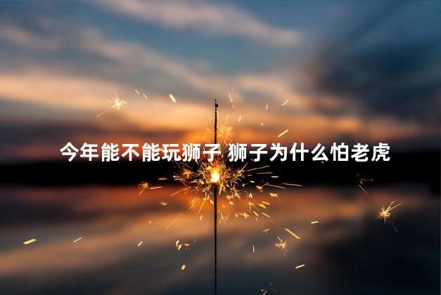 今年能不能玩狮子 狮子为什么怕老虎